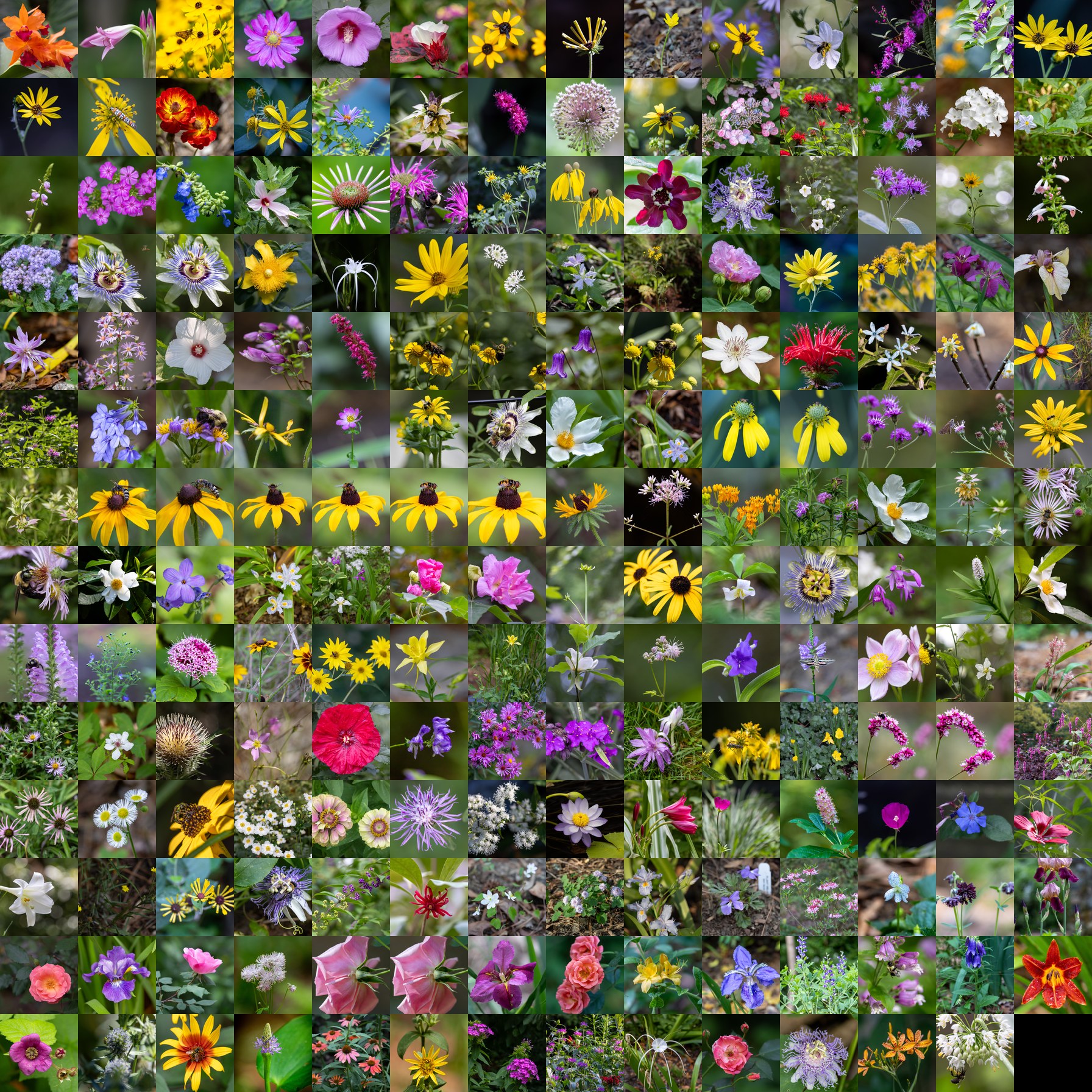 The complete tile atlas: 195 flower photographs arranged in a 14 by 14 grid
